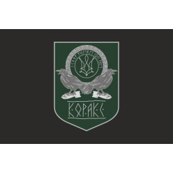 Флаг Армии дронов «Коракс» ВСУ. Вариант-06