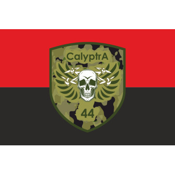 Флаг ББпС (батальон беспилотных систем) «Calyptra» 44 ОМБр ВСУ. Вариант-02 Флаг ББпС (батальон беспилотных систем) «Calyptra» 44 ОМБр ВСУ. Вариант-02