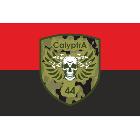 Флаг ББпС (батальон беспилотных систем) «Calyptra» 44 ОМБр ВСУ. Вариант-02