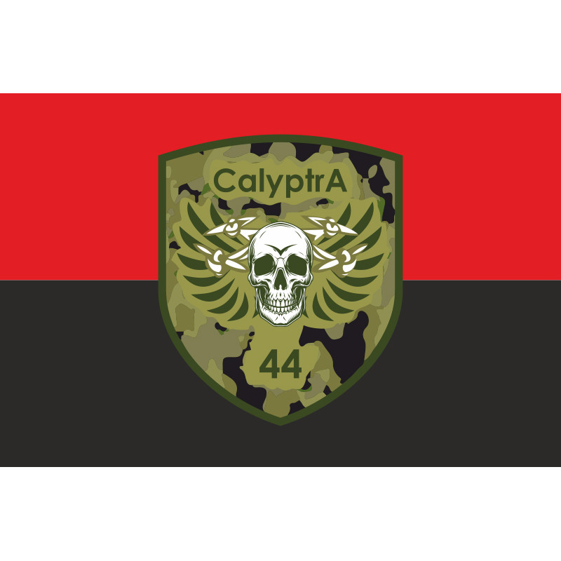 Флаг ББпС (батальон беспилотных систем) «Calyptra» 44 ОМБр ВСУ. Вариант-02 Флаг ББпС (батальон беспилотных систем) «Calyptra» 44 ОМБр ВСУ. Вариант-02