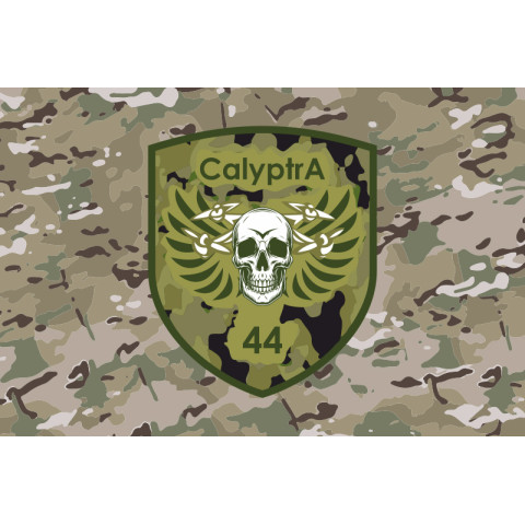 Флаг ББпС (батальон беспилотных систем) «Calyptra» 44 ОМБр ВСУ. Вариант-04