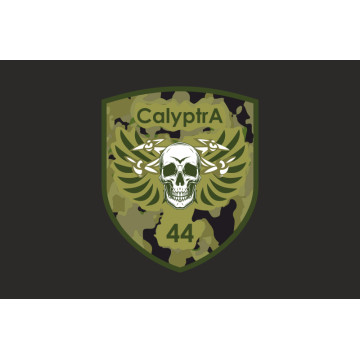 Флаг ББпС (батальон беспилотных систем) «Calyptra» 44 ОМБр ВСУ. Вариант-06 Флаг ББпС (батальон беспилотных систем) «Calyptra» 44 ОМБр ВСУ. Вариант-06