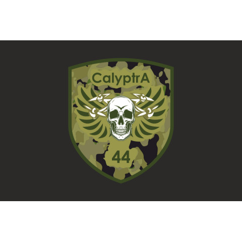 Флаг ББпС (батальон беспилотных систем) «Calyptra» 44 ОМБр ВСУ. Вариант-06