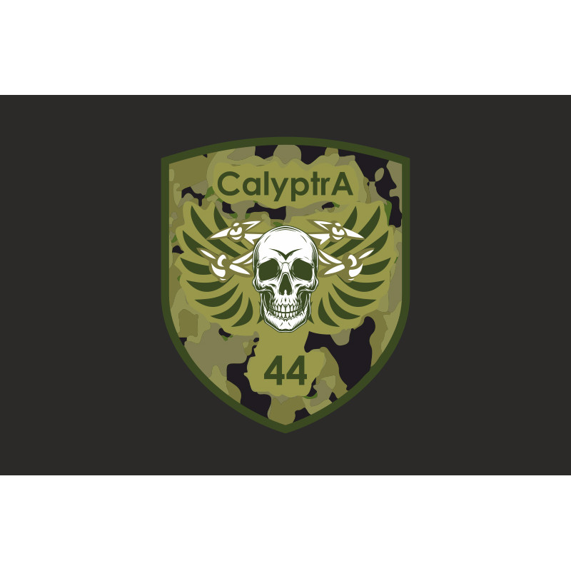 Флаг ББпС (батальон беспилотных систем) «Calyptra» 44 ОМБр ВСУ. Вариант-06 Флаг ББпС (батальон беспилотных систем) «Calyptra» 44 ОМБр ВСУ. Вариант-06