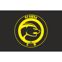 Флаг 2 ШБ (штурмовой батальон) «HONEYBADGER» 92 ОШБр ВСУ. Вариант-08