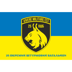 Флаг 25 ОШБ (отдельный штурмовой батальон) ВСУ. Вариант-14 Флаг 25 ОШБ (отдельный штурмовой батальон) ВСУ. Вариант-14