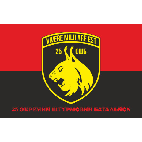 Флаг 25 ОШБ (отдельный штурмовой батальон) ВСУ. Вариант-16