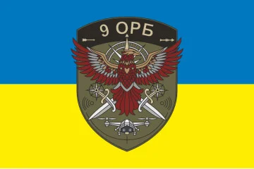 Флаг 9 ОРБ (отдельный разведывательный батальон) ВСУ. Вариант-01
