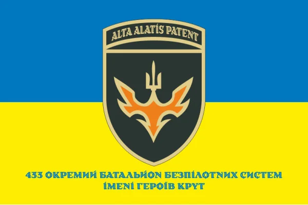Флаг 433 ОББпС (отдельный батальон беспилотных систем) ВСУ. Вариант-10 Флаг 433 ОББпС (отдельный батальон беспилотных систем) ВСУ. Вариант-10
