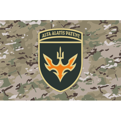 Прапор 433 ОББпС (окремий батальйон безпілотних систем) ЗСУ. Варіант-14 Прапор 433 ОББпС (окремий батальйон безпілотних систем) ЗСУ. Варіант-14