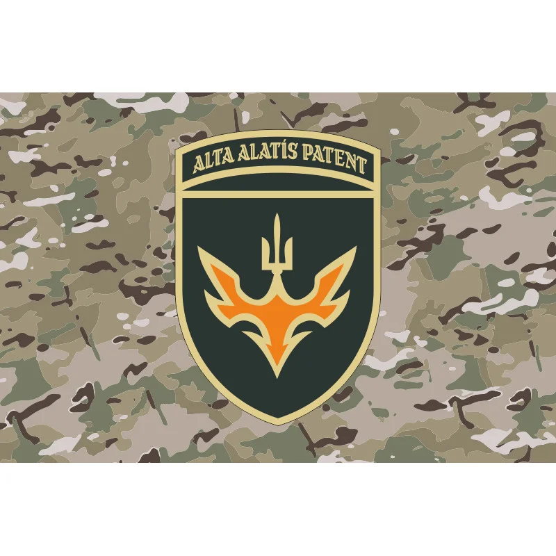 Прапор 433 ОББпС (окремий батальйон безпілотних систем) ЗСУ. Варіант-14 Прапор 433 ОББпС (окремий батальйон безпілотних систем) ЗСУ. Варіант-14