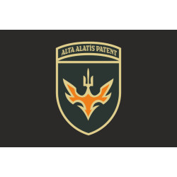 Прапор 433 ОББпС (окремий батальйон безпілотних систем) ЗСУ. Варіант-16 Прапор 433 ОББпС (окремий батальйон безпілотних систем) ЗСУ. Варіант-16