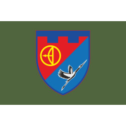Флаг 1 БТрО (батальон территориальной обороны) 112 ОБрТрО ВСУ. Вариант-03