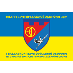 Флаг 1 БТрО (батальон территориальной обороны) 112 ОБрТрО ВСУ. Вариант-06