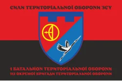 Флаг 1 БТрО (батальон территориальной обороны) 112 ОБрТрО ВСУ. Вариант-08 Флаг 1 БТрО (батальон территориальной обороны) 112 ОБрТрО ВСУ. Вариант-08