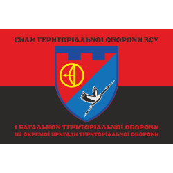 Флаг 1 БТрО (батальон территориальной обороны) 112 ОБрТрО ВСУ. Вариант-08