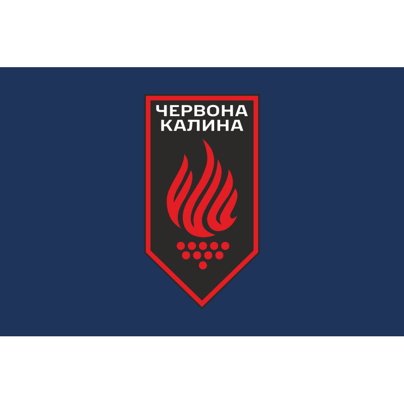 Флаг 14 БрОН (бригада оперативного назначения) НГУ. Вариант-08 Флаг 14 БрОН (бригада оперативного назначения) НГУ. Вариант-08