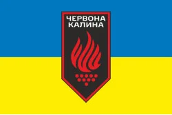 Флаг 14 БрОН (бригада оперативного назначения) НГУ. Вариант-10
