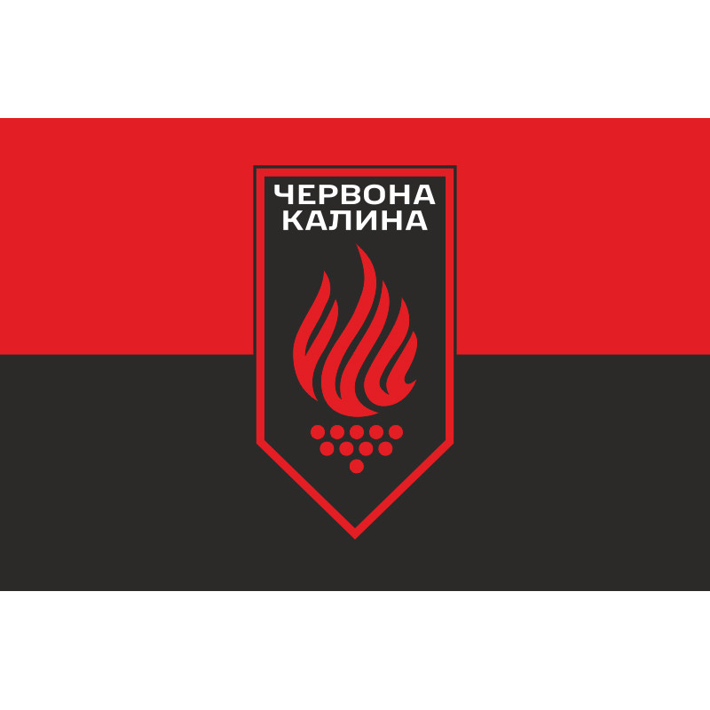 Флаг 14 БрОН (бригада оперативного назначения) НГУ. Вариант-12 Флаг 14 БрОН (бригада оперативного назначения) НГУ. Вариант-12