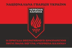 Флаг 14 БрОН (бригада оперативного назначения) НГУ. Вариант-13