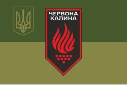 Флаг 14 БрОН (бригада оперативного назначения) НГУ. Вариант-15