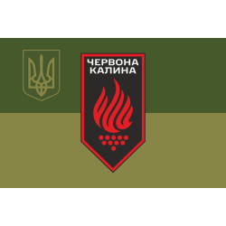 Флаг 14 БрОН (бригада оперативного назначения) НГУ. Вариант-15 Флаг 14 БрОН (бригада оперативного назначения) НГУ. Вариант-15