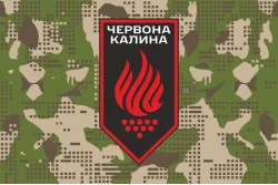 Флаг 14 БрОН (бригада оперативного назначения) НГУ. Вариант-16