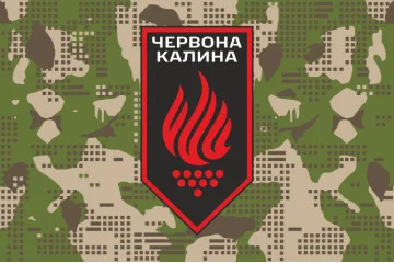 Прапор 14 БрОП (бригада оперативного призначення) НГУ. Варіант-16