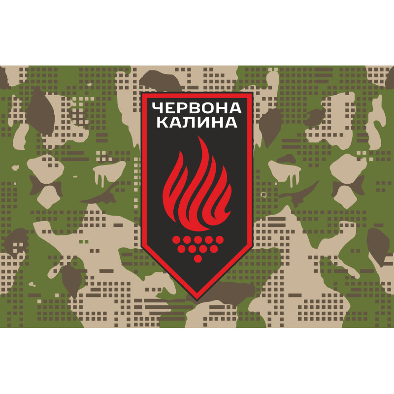 Флаг 14 БрОН (бригада оперативного назначения) НГУ. Вариант-16 Флаг 14 БрОН (бригада оперативного назначения) НГУ. Вариант-16