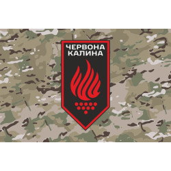 Флаг 14 БрОН (бригада оперативного назначения) НГУ. Вариант-17 Флаг 14 БрОН (бригада оперативного назначения) НГУ. Вариант-17