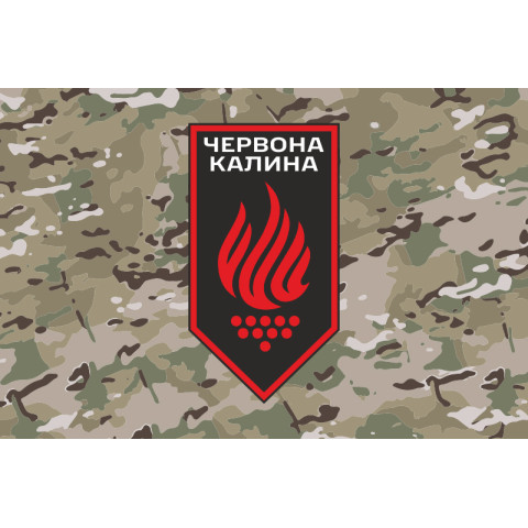 Флаг 14 БрОН (бригада оперативного назначения) НГУ. Вариант-17 Флаг 14 БрОН (бригада оперативного назначения) НГУ. Вариант-17