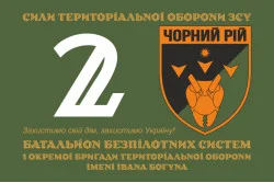 Флаг 2 ББпС (батальон беспилотных систем) «Черный рой» 1 ОБрТрО ВСУ. Вариант-01