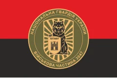Флаг 38 П (полк) НГУ. Вариант-07