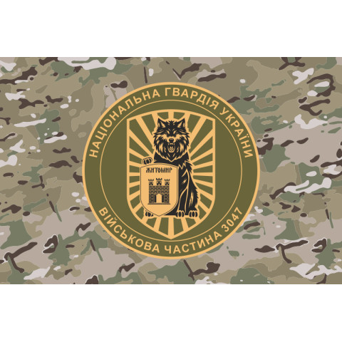Прапор 38 П (полк) НГУ. Варіант-09