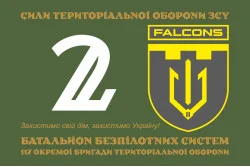 Прапор 2 ББпС (батальйон безпілотних систем) «Falcons» 117 ОБрТрО ЗСУ. Варіант-01 Прапор 2 ББпС (батальйон безпілотних систем) «Falcons» 117 ОБрТрО ЗСУ. Варіант-01