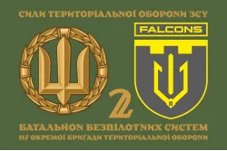 Прапор 2 ББпС (батальйон безпілотних систем) «Falcons» 117 ОБрТрО ЗСУ. Варіант-02 Прапор 2 ББпС (батальйон безпілотних систем) «Falcons» 117 ОБрТрО ЗСУ. Варіант-02