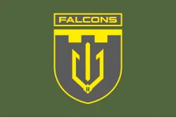 Прапор 2 ББпС (батальйон безпілотних систем) «Falcons» 117 ОБрТрО ЗСУ. Варіант-03 Прапор 2 ББпС (батальйон безпілотних систем) «Falcons» 117 ОБрТрО ЗСУ. Варіант-03