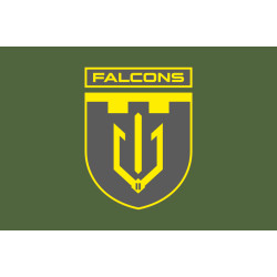 Флаг 2 ББпС (батальон беспилотных систем) «Falcons» 117 ОБрТрО ВСУ. Вариант-03 Флаг 2 ББпС (батальон беспилотных систем) «Falcons» 117 ОБрТрО ВСУ. Вариант-03