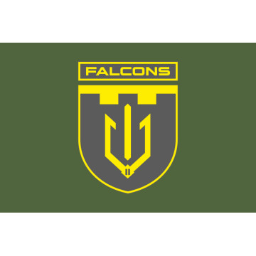 Флаг 2 ББпС (батальон беспилотных систем) «Falcons» 117 ОБрТрО ВСУ. Вариант-03