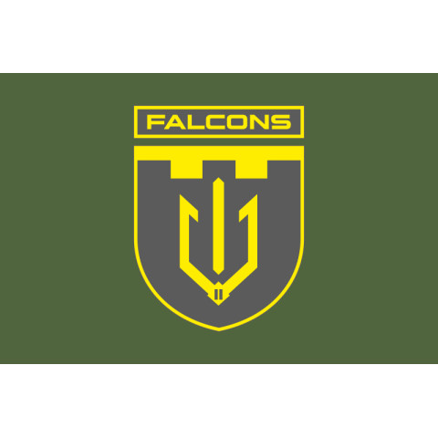Прапор 2 ББпС (батальйон безпілотних систем) «Falcons» 117 ОБрТрО ЗСУ. Варіант-03