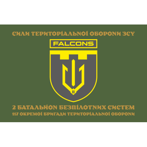 Прапор 2 ББпС (батальйон безпілотних систем) «Falcons» 117 ОБрТрО ЗСУ. Варіант-04