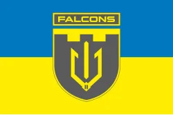 Флаг 2 ББпС (батальон беспилотных систем) «Falcons» 117 ОБрТрО ВСУ. Вариант-05