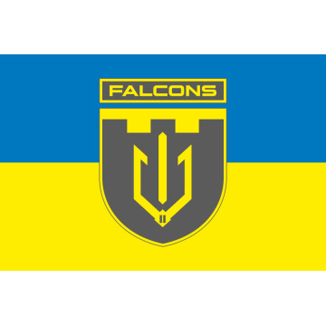 Флаг 2 ББпС (батальон беспилотных систем) «Falcons» 117 ОБрТрО ВСУ. Вариант-05 Флаг 2 ББпС (батальон беспилотных систем) «Falcons» 117 ОБрТрО ВСУ. Вариант-05