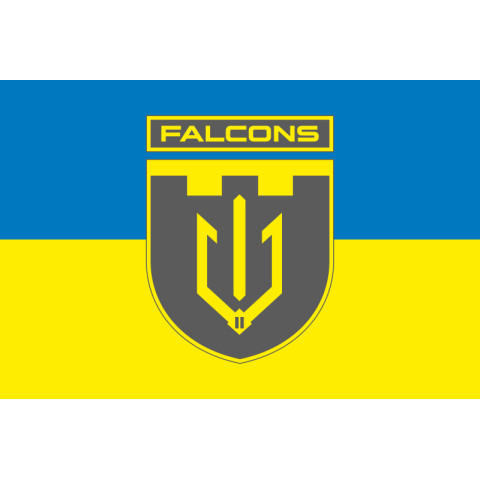 Прапор 2 ББпС (батальйон безпілотних систем) «Falcons» 117 ОБрТрО ЗСУ. Варіант-05