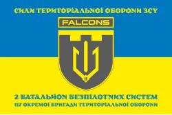 Флаг 2 ББпС (батальон беспилотных систем) «Falcons» 117 ОБрТрО ВСУ. Вариант-06