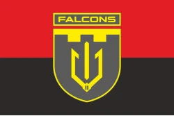 Флаг 2 ББпС (батальон беспилотных систем) «Falcons» 117 ОБрТрО ВСУ. Вариант-07