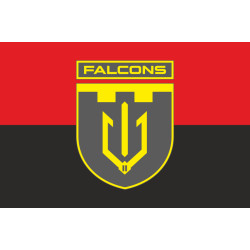 Флаг 2 ББпС (батальон беспилотных систем) «Falcons» 117 ОБрТрО ВСУ. Вариант-07 Флаг 2 ББпС (батальон беспилотных систем) «Falcons» 117 ОБрТрО ВСУ. Вариант-07