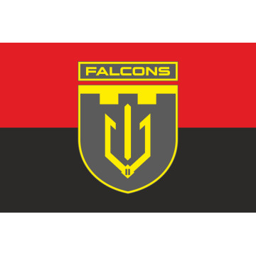 Флаг 2 ББпС (батальон беспилотных систем) «Falcons» 117 ОБрТрО ВСУ. Вариант-07 Флаг 2 ББпС (батальон беспилотных систем) «Falcons» 117 ОБрТрО ВСУ. Вариант-07