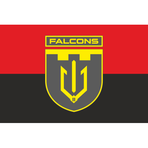 Прапор 2 ББпС (батальйон безпілотних систем) «Falcons» 117 ОБрТрО ЗСУ. Варіант-07