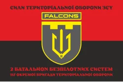 Флаг 2 ББпС (батальон беспилотных систем) «Falcons» 117 ОБрТрО ВСУ. Вариант-08